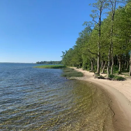 Domek letniskowy Sosnowe Tarasy